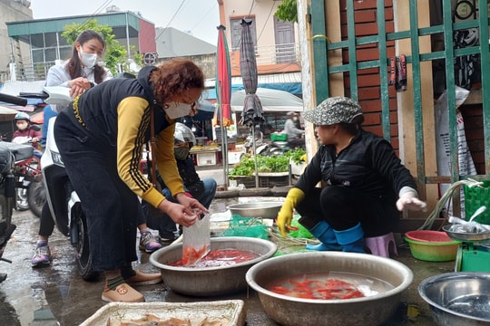 Sôi động thị trường cá chép vàng